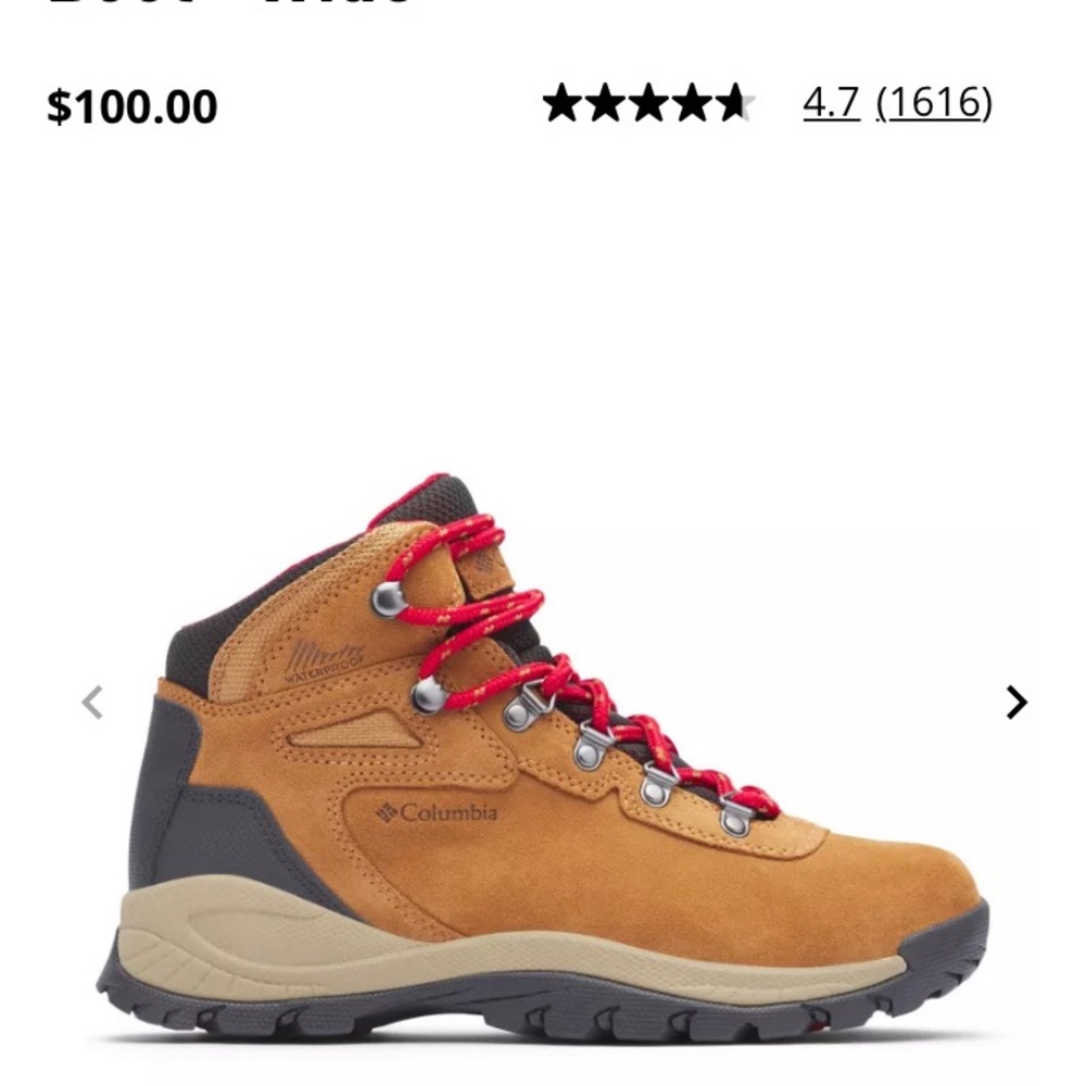 Newtons Ridge Plus Waterproof Amped Hiking Boot